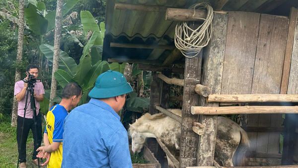 Lãnh đạo UBND xã kiểm tra dự án chăn nuôi ngựa bạch sinh sản